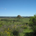 MONTE ENOC el bosque es Vida