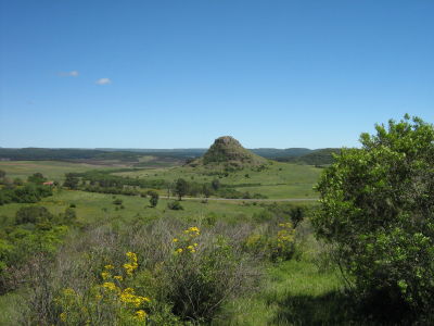 MONTE ENOC el bosque es Vida